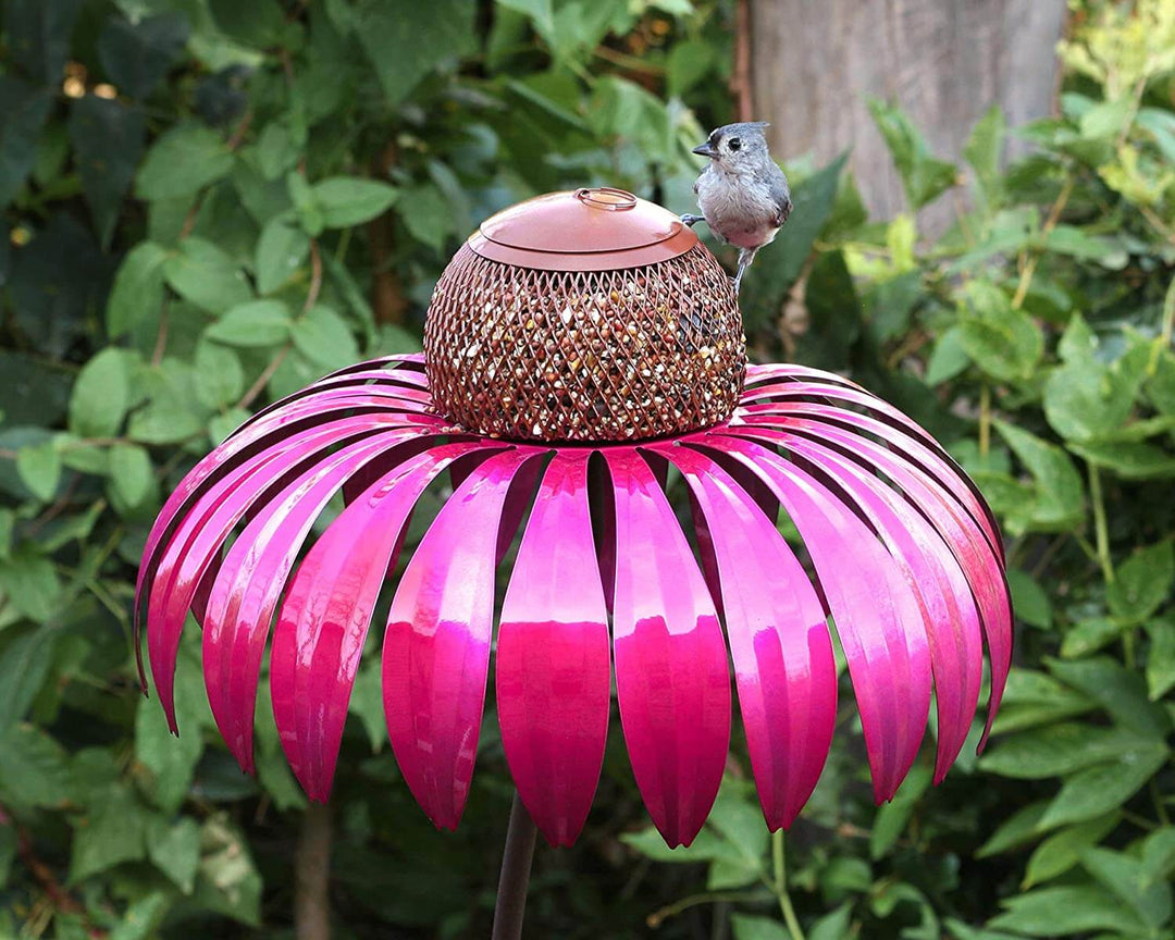 Kegelblume Vogelfutterhaus