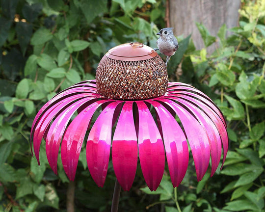 Kegelblume Vogelfutterhaus