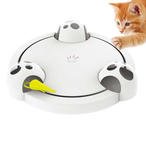 Pounce Katzenspielzeug