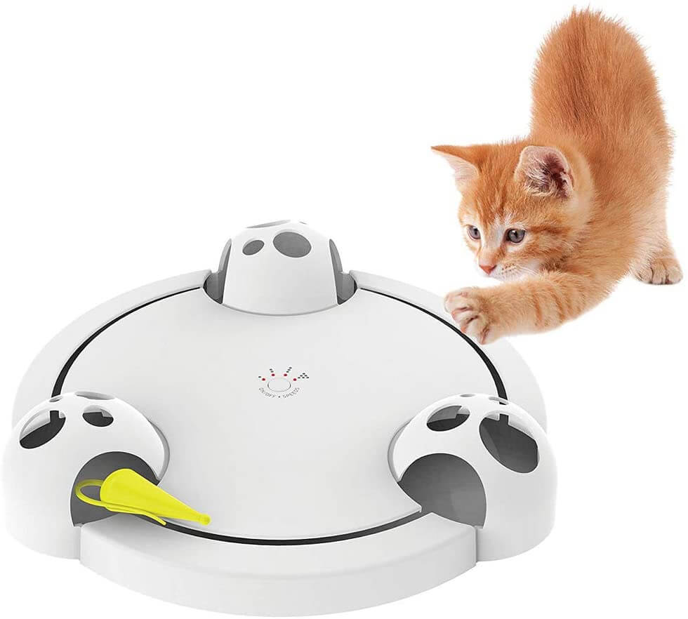 Pounce Katzenspielzeug