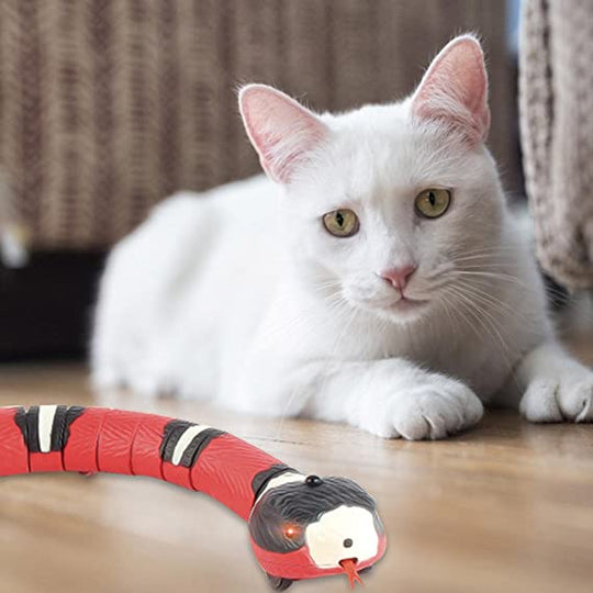 Schlange Katzenspielzeug