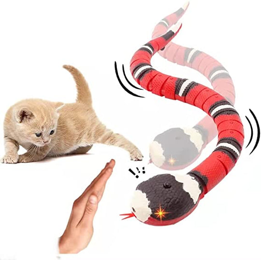 Schlange Katzenspielzeug
