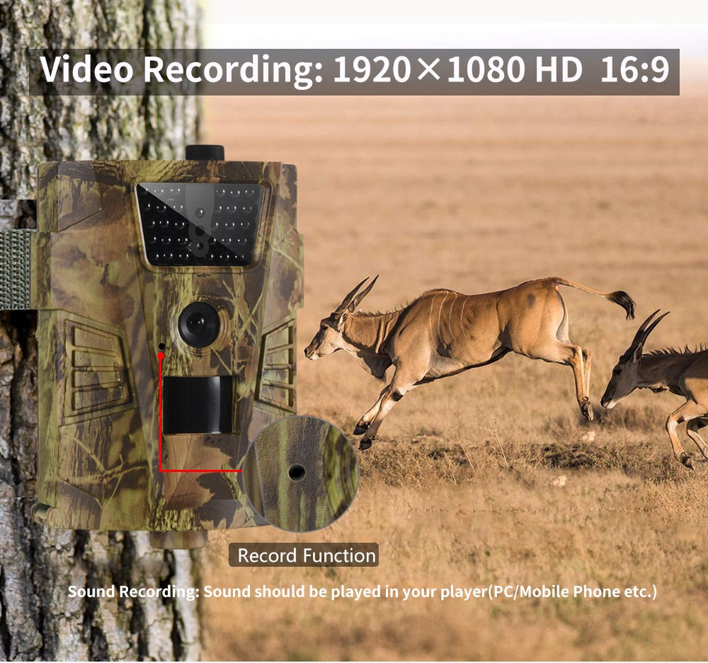 Wildcam Pro